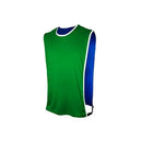 Colete Futebol Treino Dryfit Duplo Verde/Azul Garra