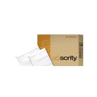 Envelope Saco Branco 20X28 C250