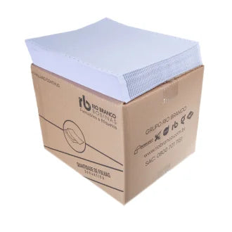 Formulário 3076 Branco 80 Colunas Razão 2 Vias