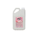 Desinfetante 5L Floral Cleanner