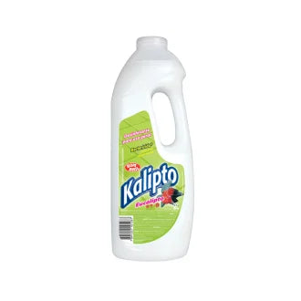 Desinfetante 2L Eucalipto Bombril C6